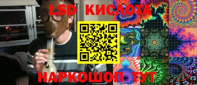PSILOCYBIN Кулебаки