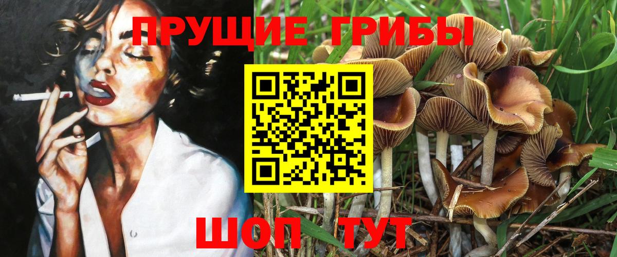 Псилоцибиновые грибы прущие грибы  Вход с VPN  Алатырь 
